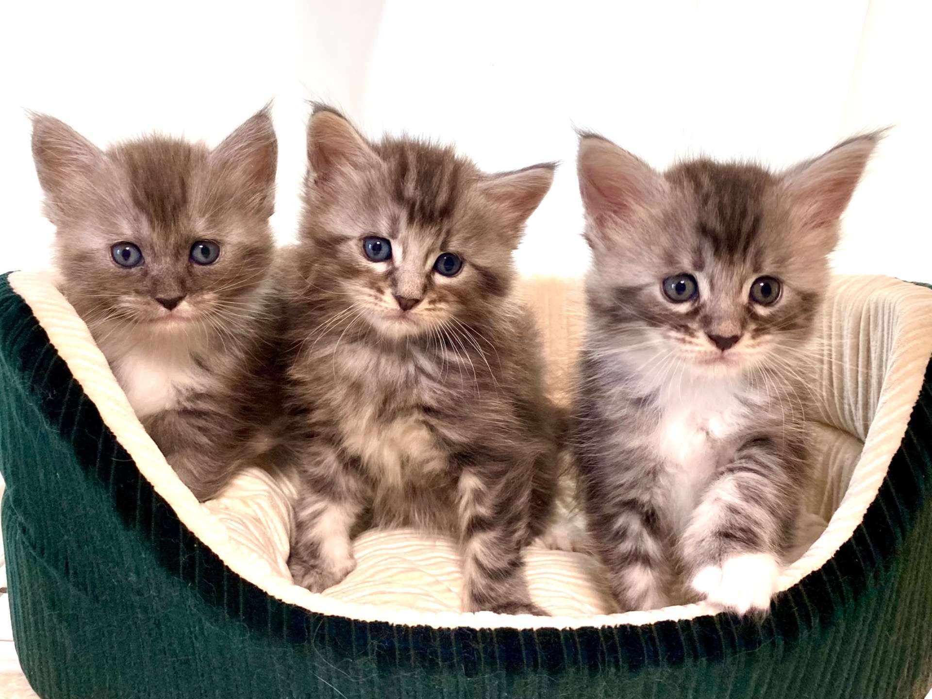 今年もよろしくお願いいたします‼︎